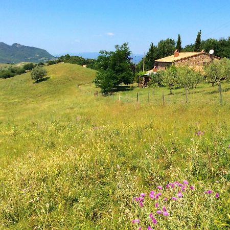 Charming Farmhouse On Protected Area In Pomarance, Tuscany Exterior photo