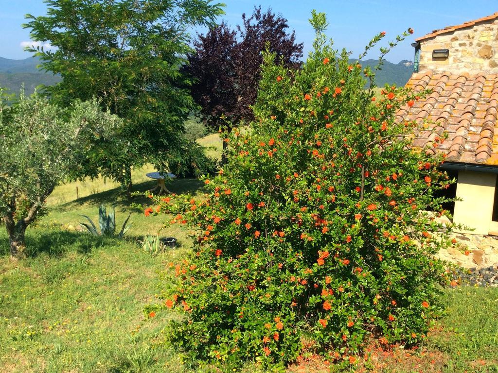 Charming Farmhouse On Protected Area In Pomarance, Tuscany Exterior photo